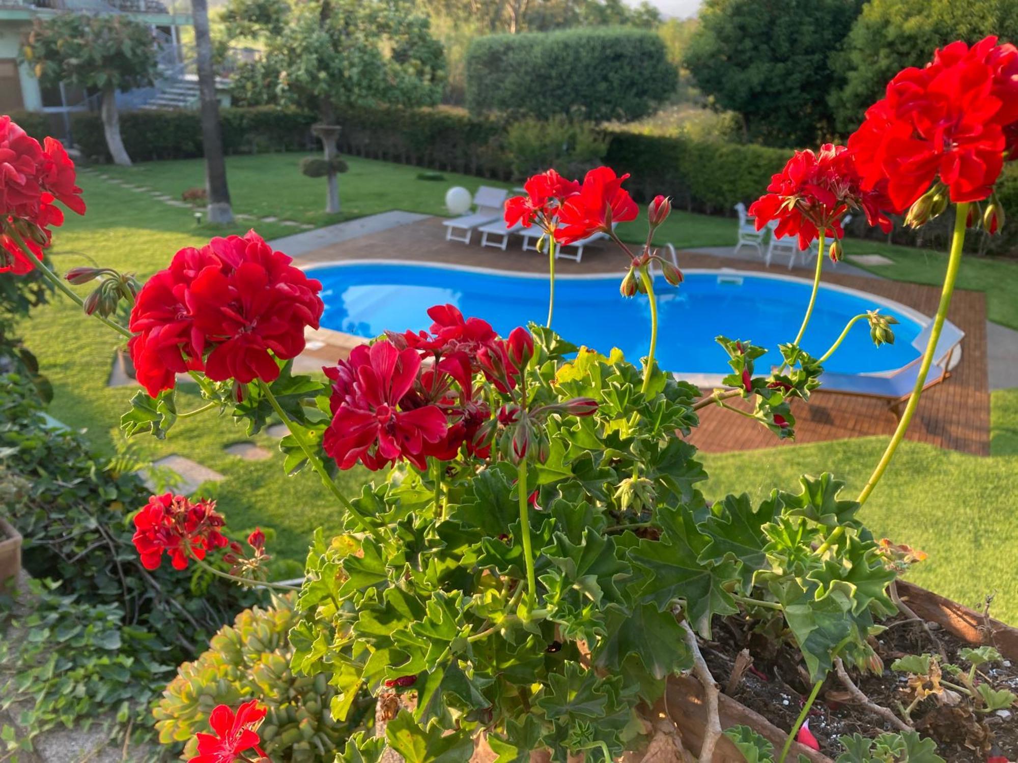 Villa Con Piscina Esclusiva Vista Etna Mascali Eksteriør billede