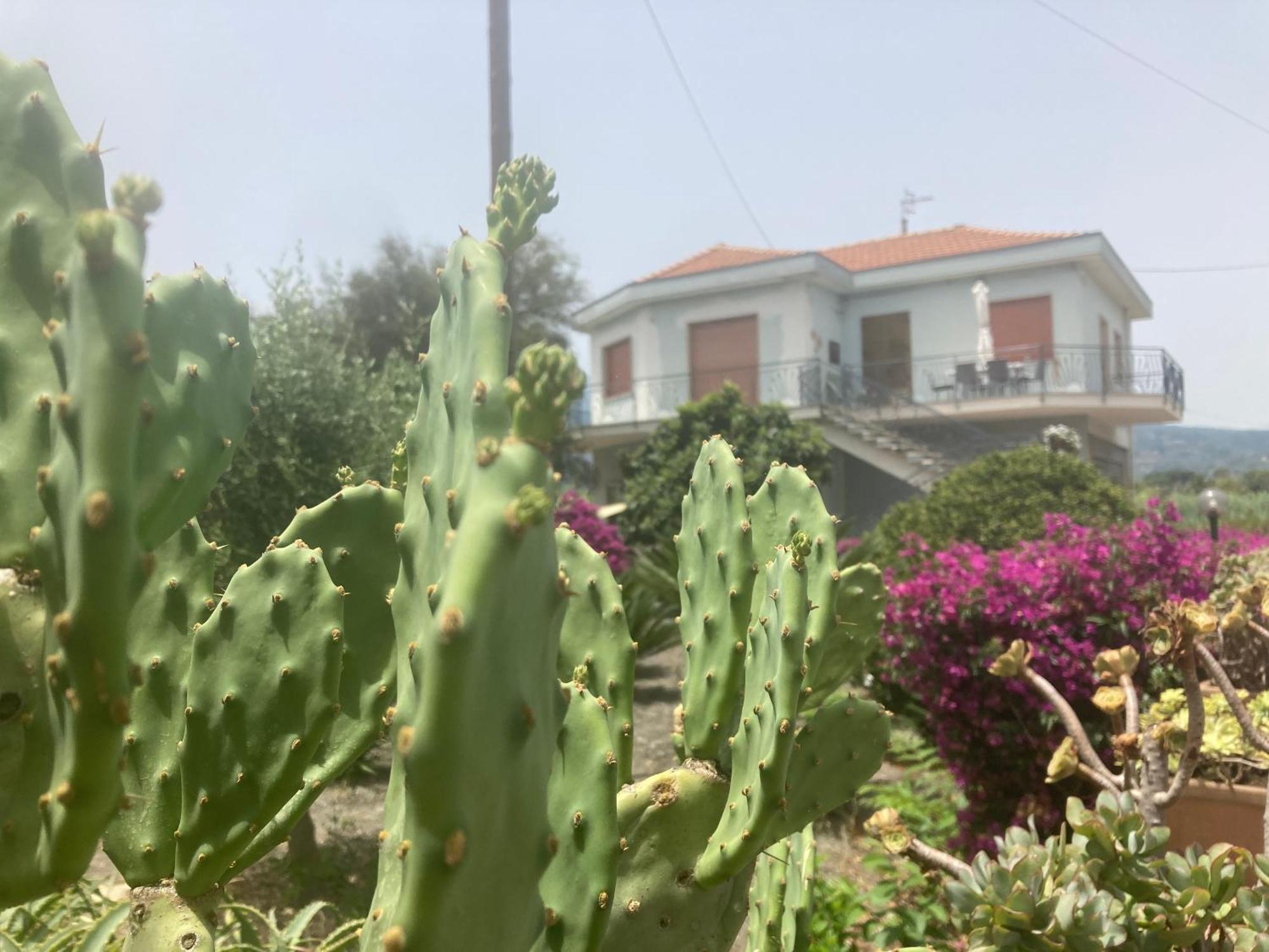 Villa Con Piscina Esclusiva Vista Etna Mascali Eksteriør billede