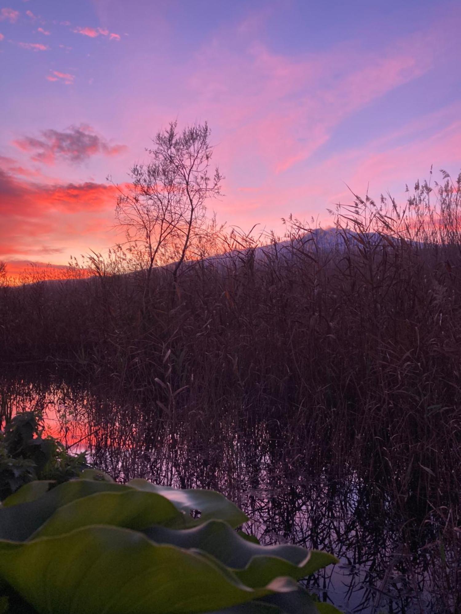 Villa Con Piscina Esclusiva Vista Etna Mascali Eksteriør billede