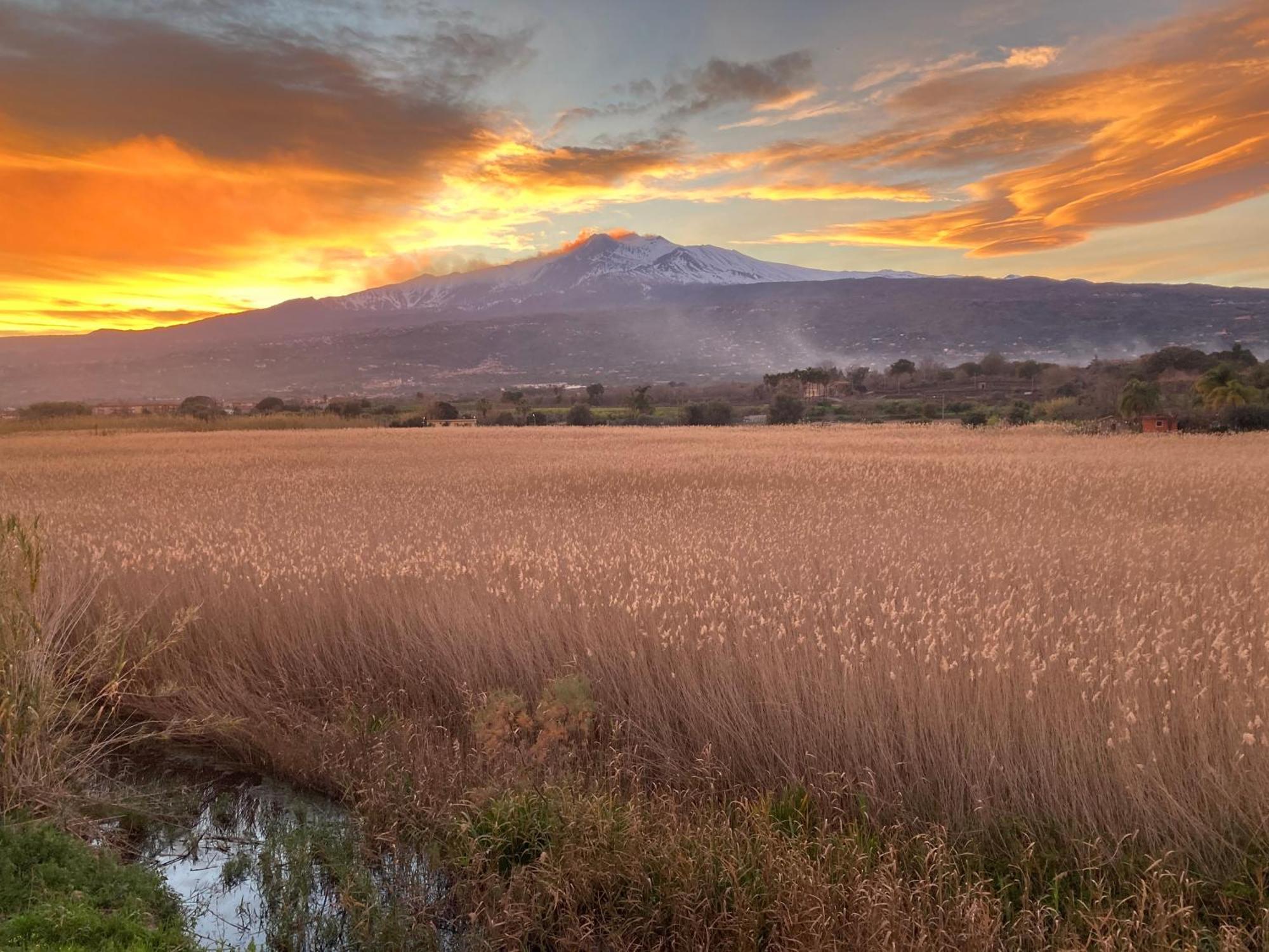 Villa Con Piscina Esclusiva Vista Etna Mascali Eksteriør billede