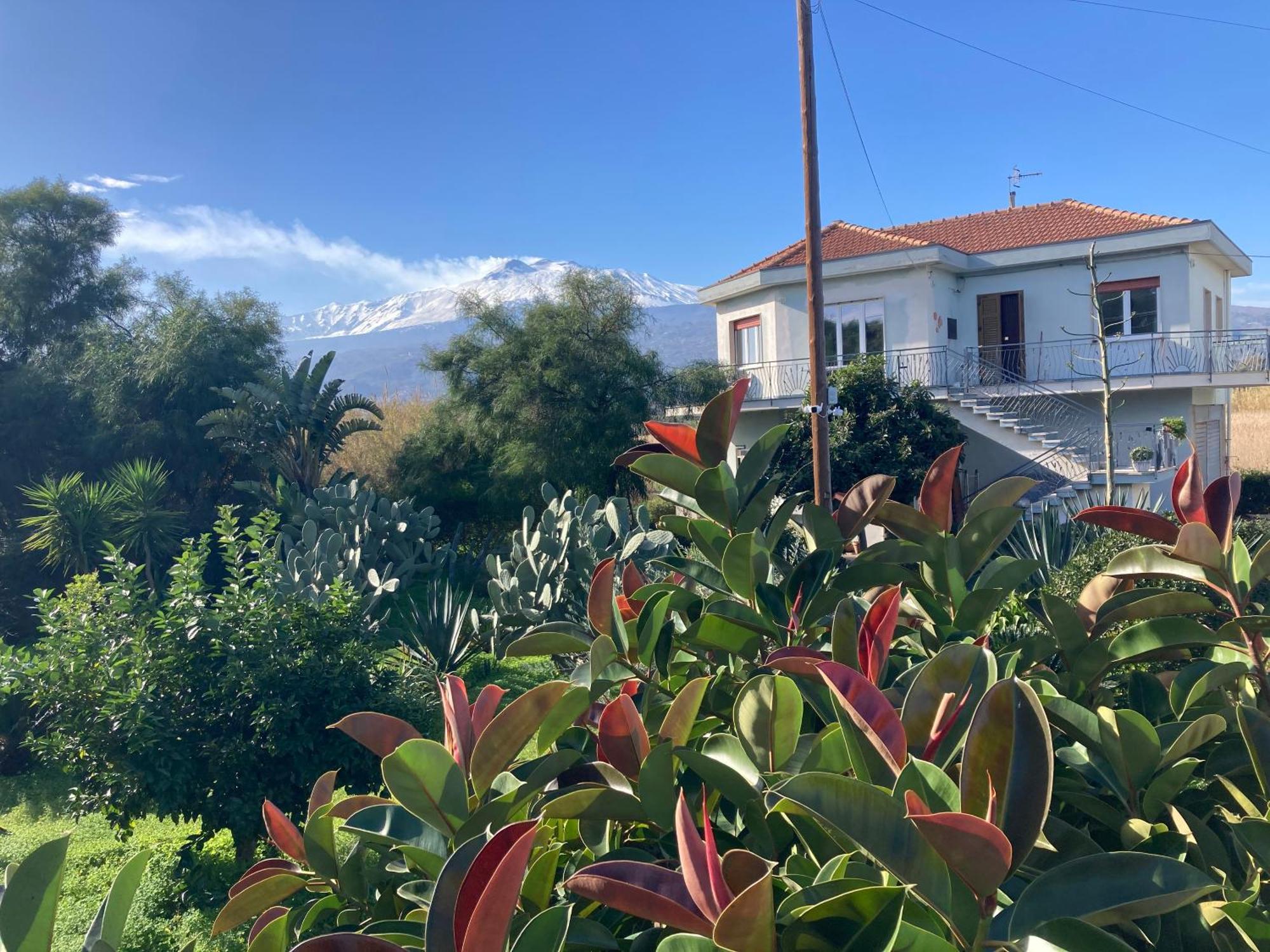 Villa Con Piscina Esclusiva Vista Etna Mascali Eksteriør billede