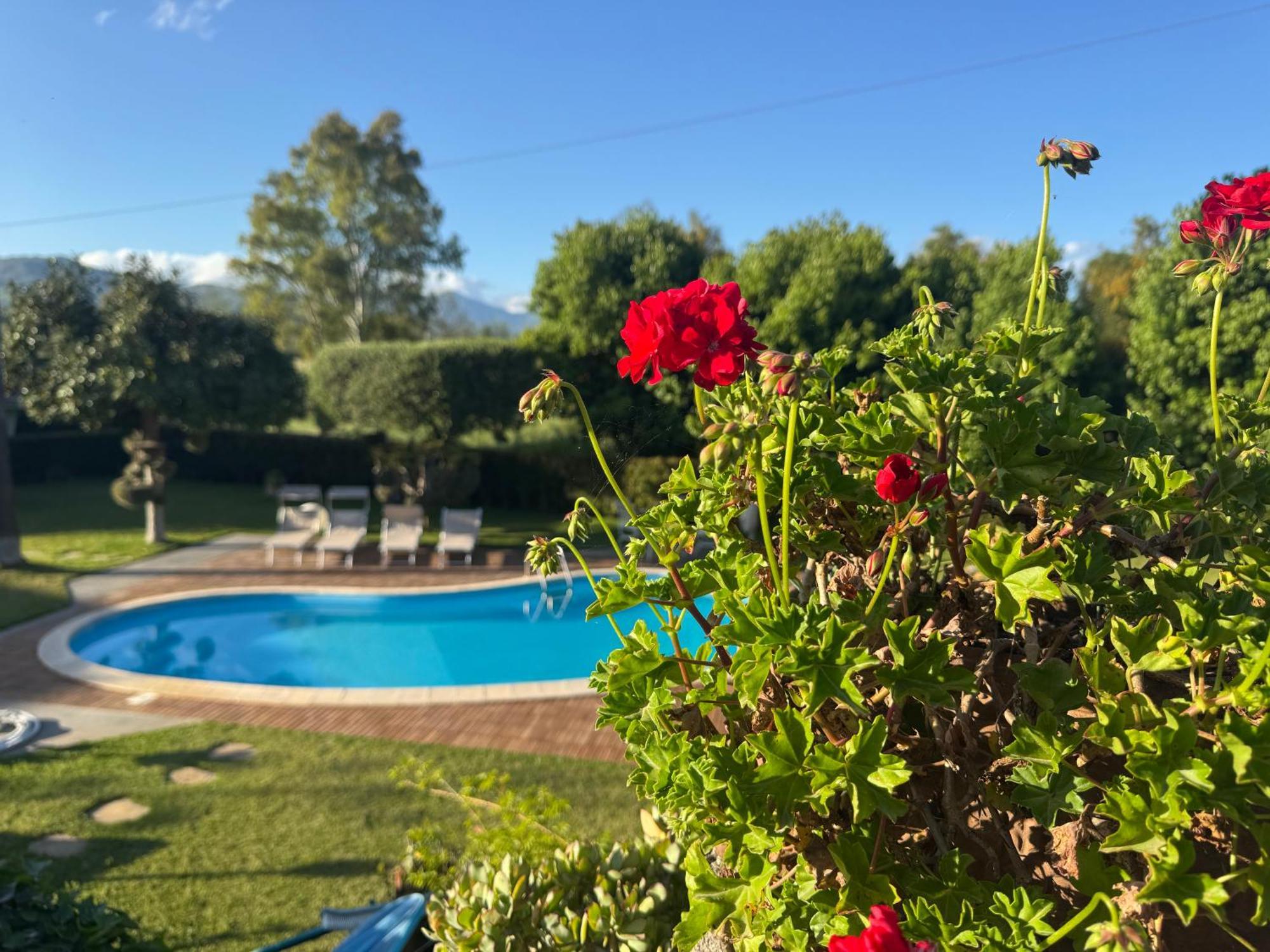 Villa Con Piscina Esclusiva Vista Etna Mascali Eksteriør billede