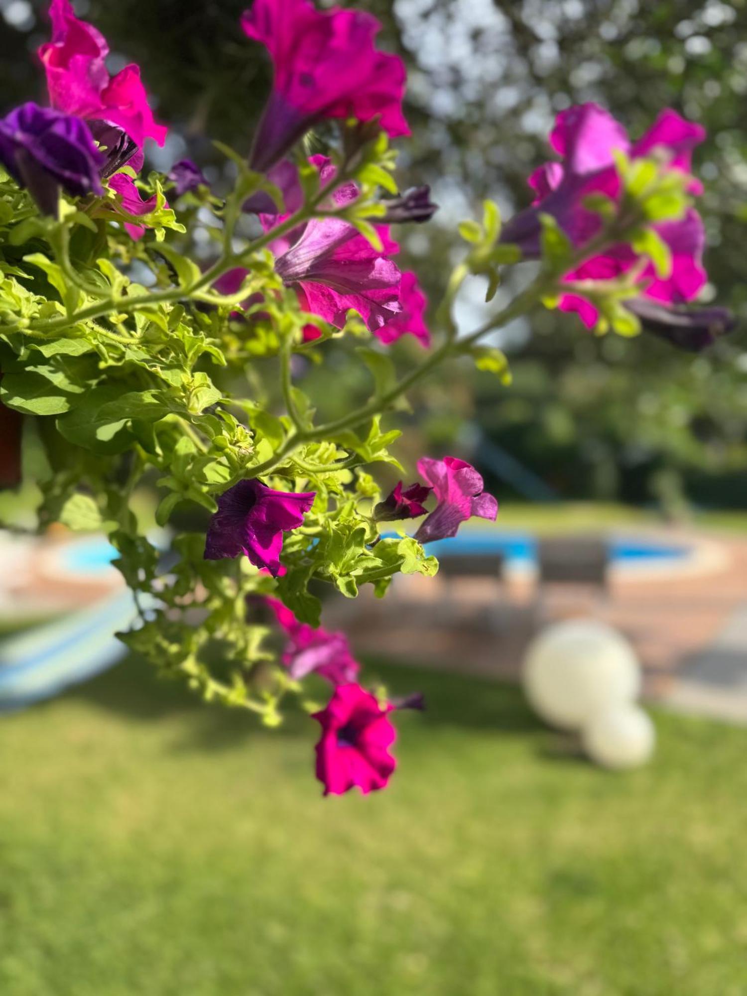 Villa Con Piscina Esclusiva Vista Etna Mascali Eksteriør billede